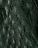 OVER THE POP RACOON - verde smeraldo