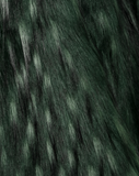 NEW OVER THE POP RACOON - Pelliccia Oversize in faux fur verde