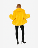 COOL POP -  mimosa